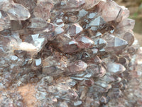 Natural Hematoid Quartz Cluster x 1 From Zambia - Toprock Gemstones and Minerals 