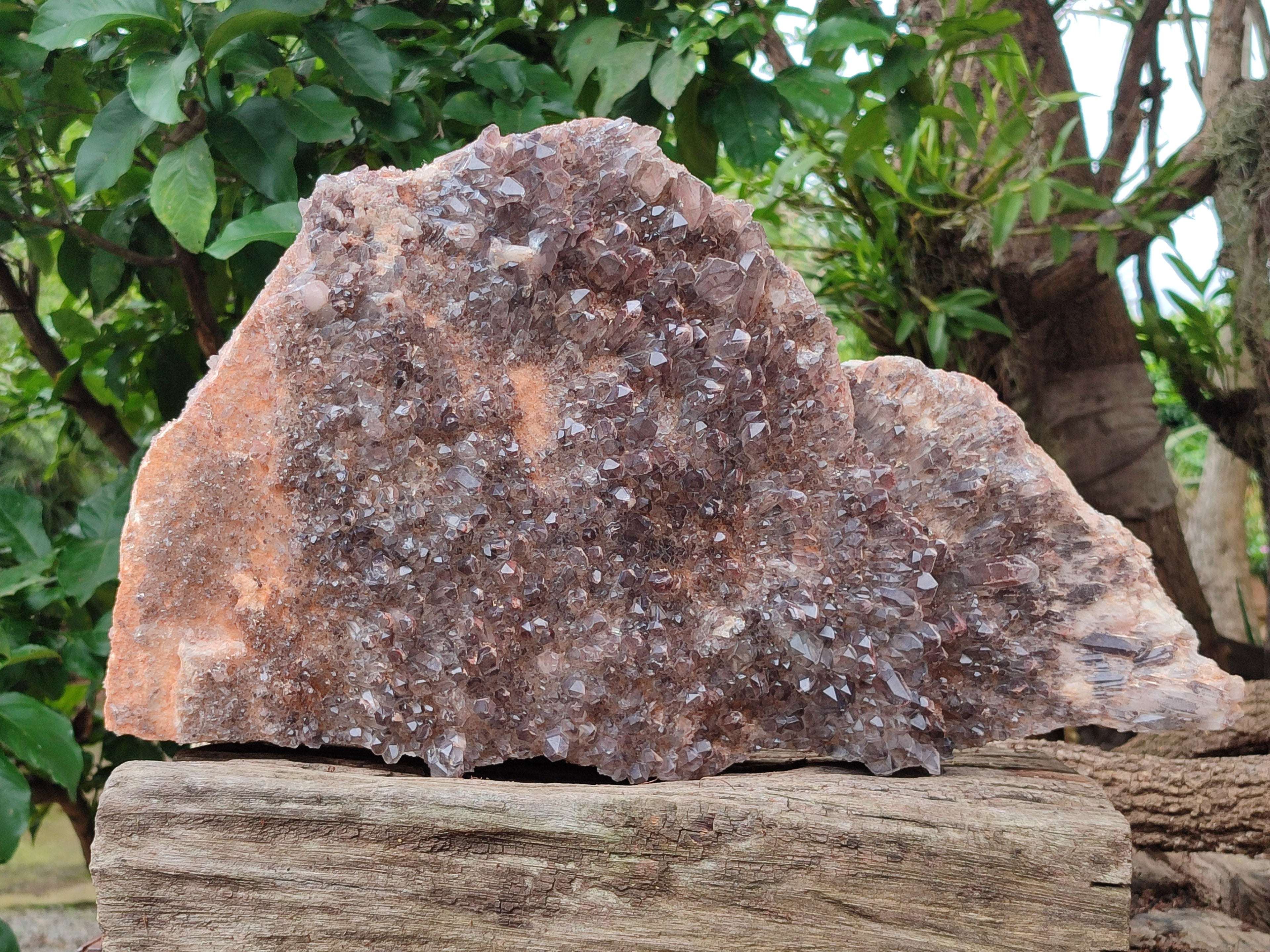 Natural Hematoid Quartz Cluster x 1 From Zambia - Toprock Gemstones and Minerals 