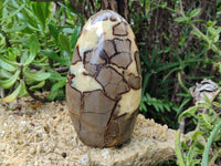 Polished Septerye Standing Free Forms x 2 From Mahajanga, Madagascar - Toprock Gemstones and Minerals 