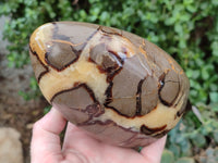 Polished Septerye Standing Free Forms x 2 From Mahajanga, Madagascar - Toprock Gemstones and Minerals 