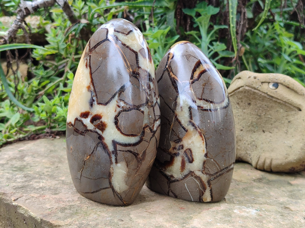 Polished Septerye Standing Free Forms x 2 From Mahajanga, Madagascar - Toprock Gemstones and Minerals 