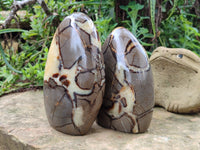 Polished Septerye Standing Free Forms x 2 From Mahajanga, Madagascar - Toprock Gemstones and Minerals 