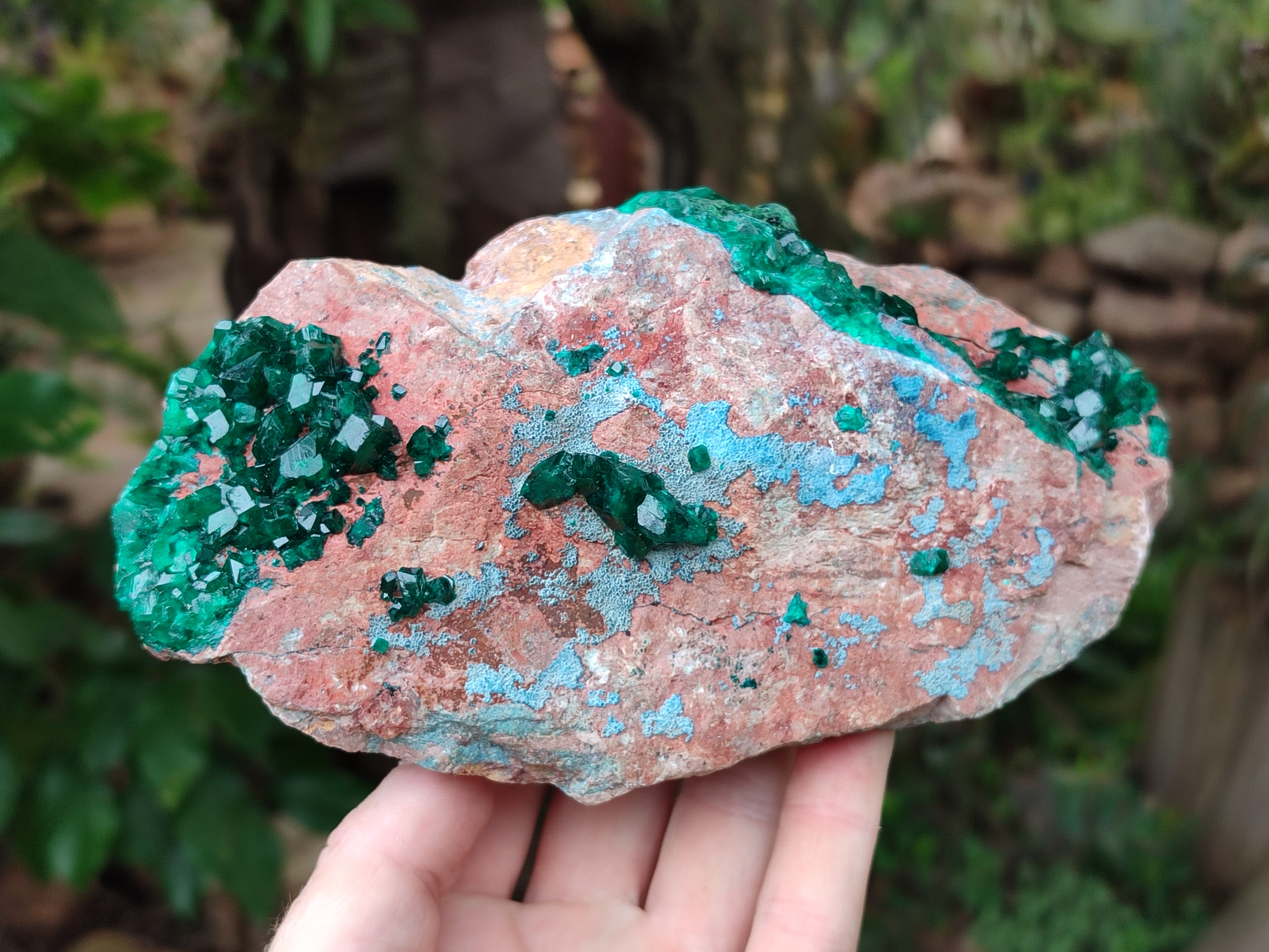 Natural Dioptase Cabinet Specimen with Shattuckite x 1 From Congo - Toprock Gemstones and Minerals 