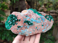 Natural Dioptase Cabinet Specimen with Shattuckite x 1 From Congo