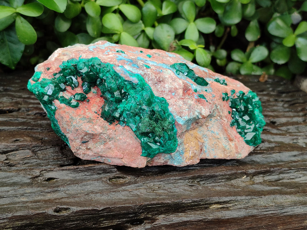 Natural Dioptase Cabinet Specimen with Shattuckite x 1 From Congo - Toprock Gemstones and Minerals 
