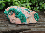 Natural Dioptase Cabinet Specimen with Shattuckite x 1 From Congo - Toprock Gemstones and Minerals 