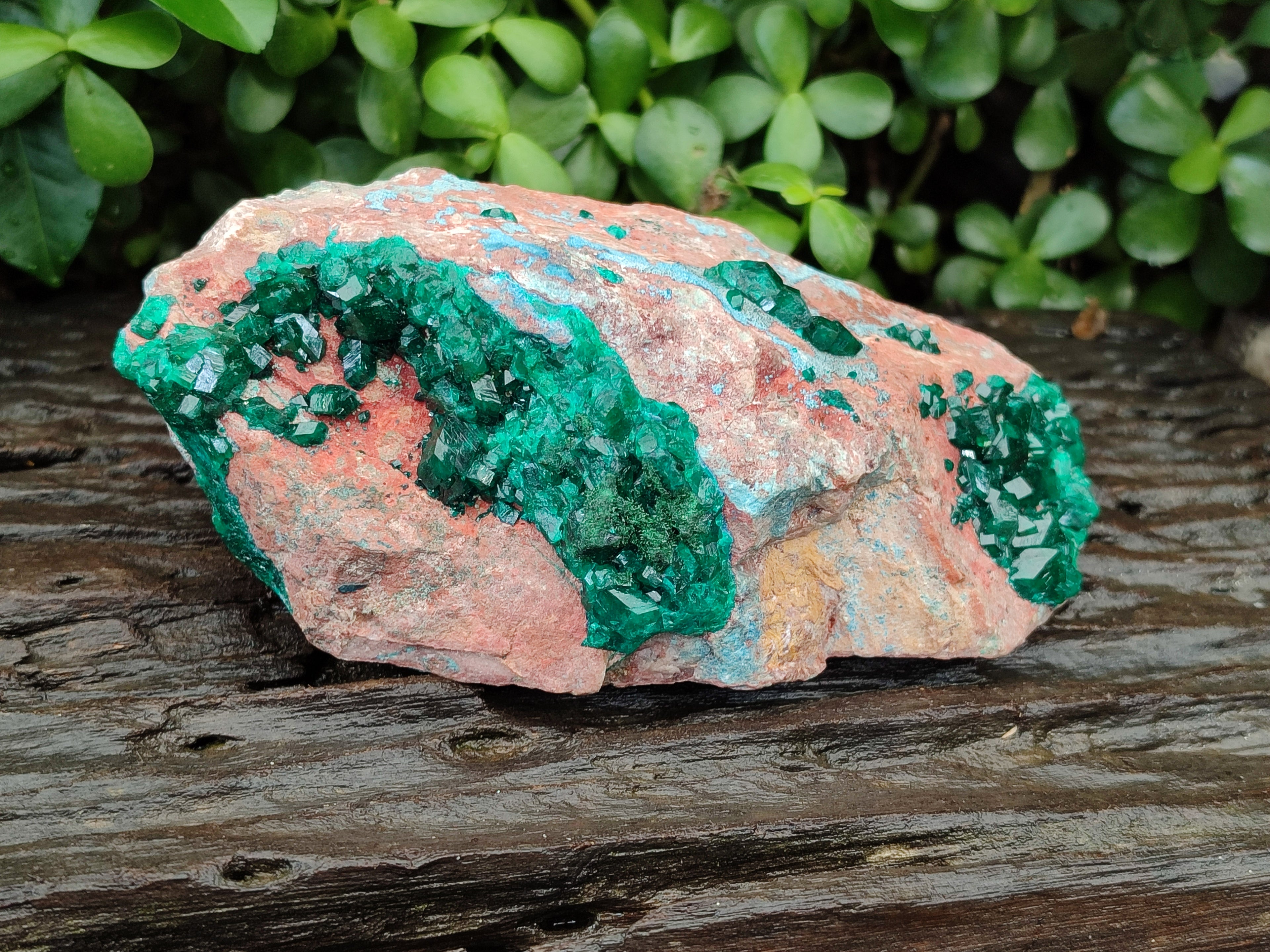 Natural Dioptase Cabinet Specimen with Shattuckite x 1 From Congo - Toprock Gemstones and Minerals 