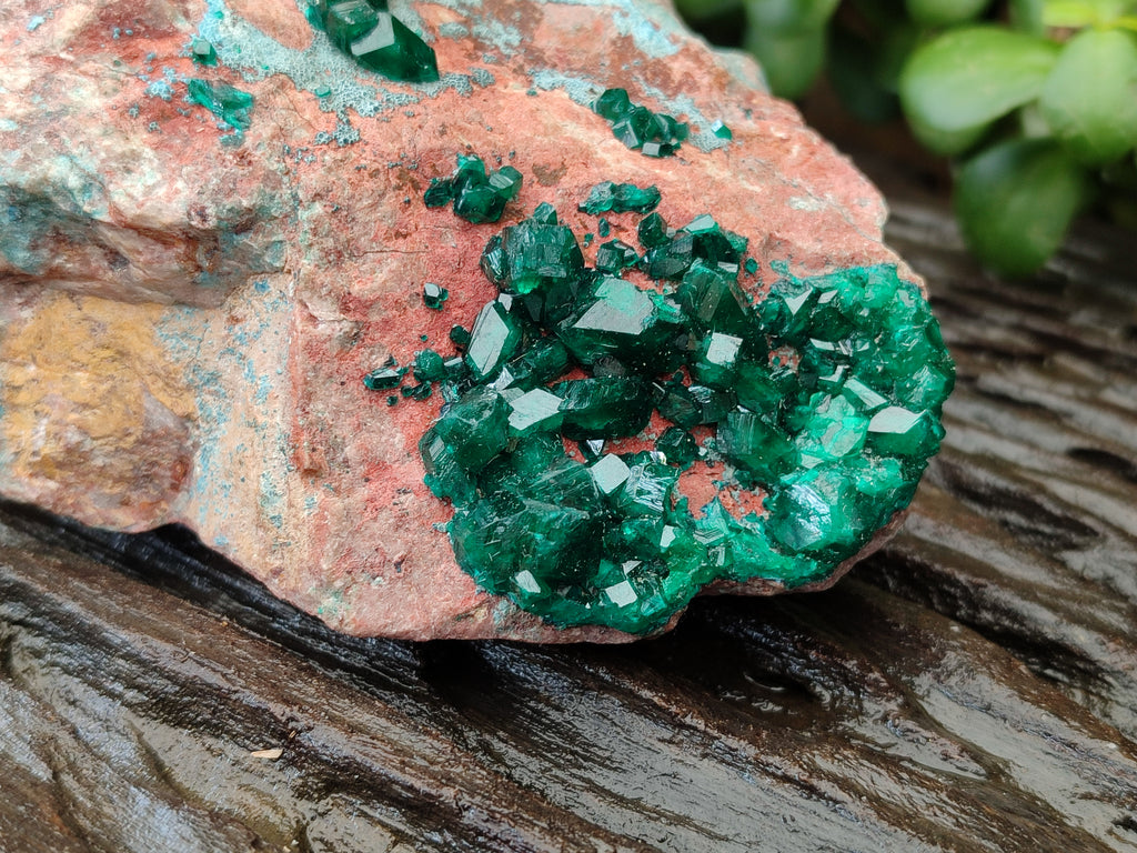 Natural Dioptase Cabinet Specimen with Shattuckite x 1 From Congo - Toprock Gemstones and Minerals 