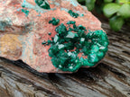 Natural Dioptase Cabinet Specimen with Shattuckite x 1 From Congo - Toprock Gemstones and Minerals 