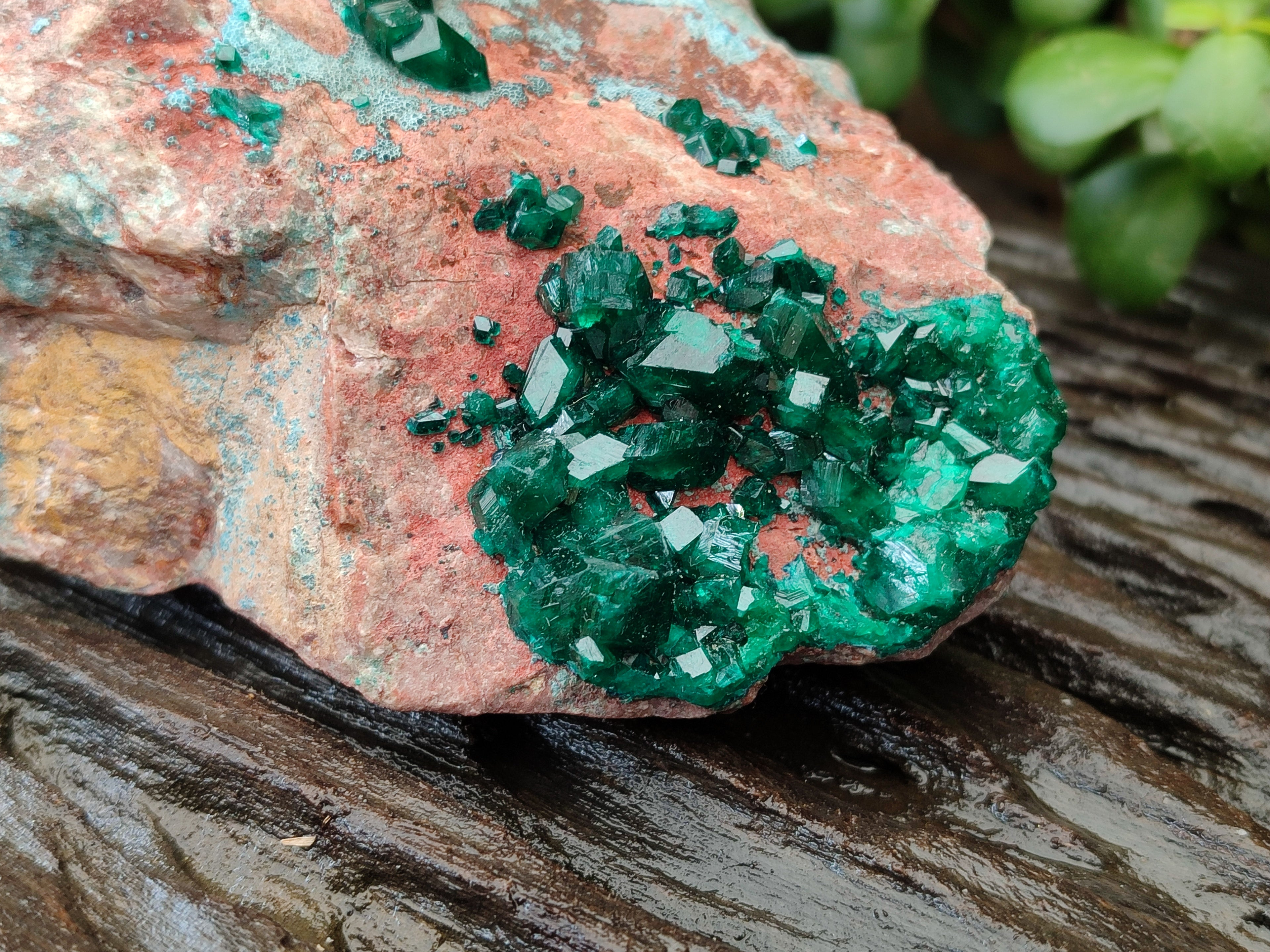 Natural Dioptase Cabinet Specimen with Shattuckite x 1 From Congo - Toprock Gemstones and Minerals 