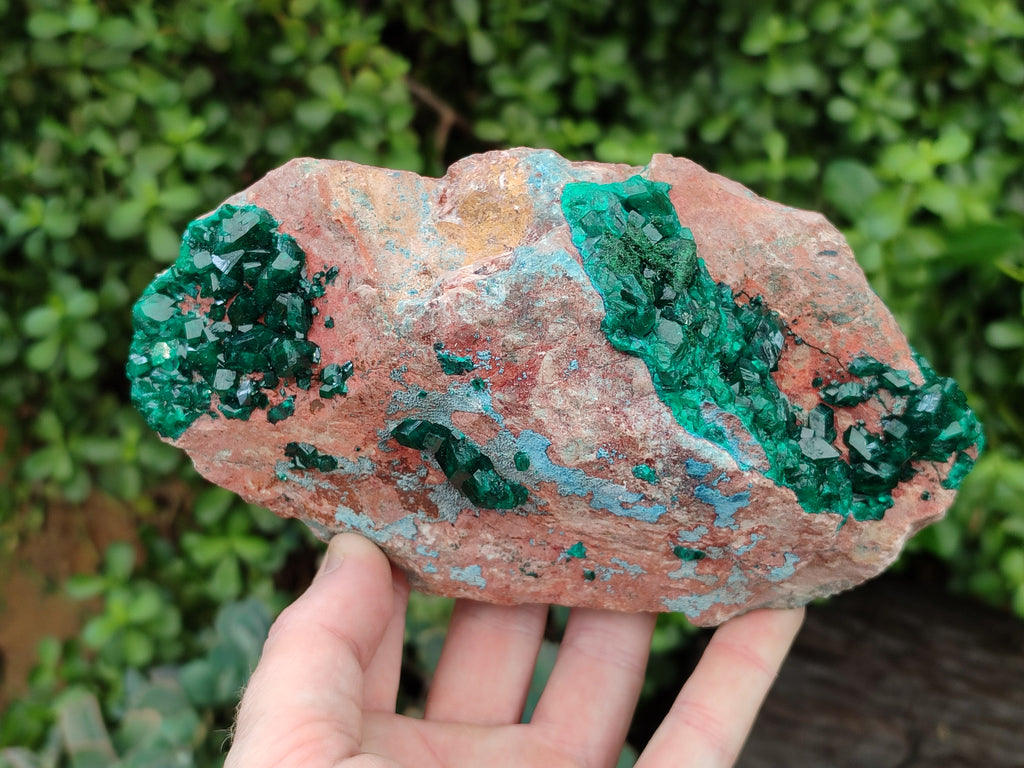 Natural Dioptase Cabinet Specimen with Shattuckite x 1 From Congo - Toprock Gemstones and Minerals 