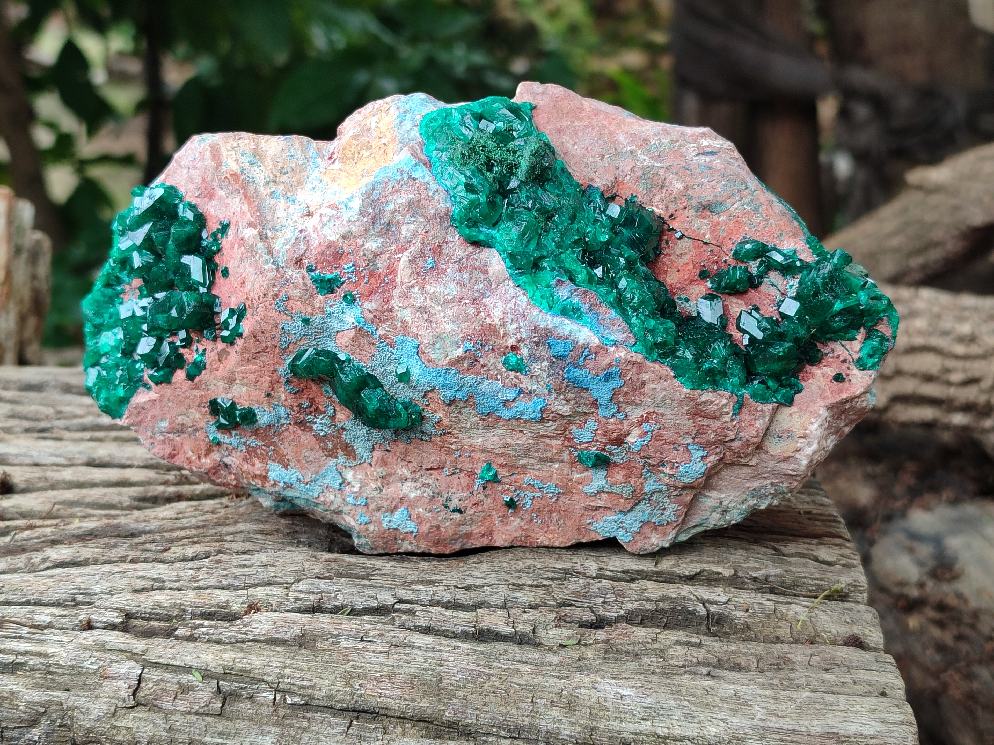 Natural Dioptase Cabinet Specimen with Shattuckite x 1 From Congo - Toprock Gemstones and Minerals 