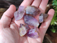 Natural Royal Zulu Amethyst Crystals x 35 from KwaZulu Natal, South Africa - Toprock Gemstones and Minerals 