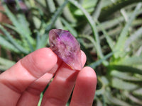 Natural Royal Zulu Amethyst Crystals x 35 from KwaZulu Natal, South Africa - Toprock Gemstones and Minerals 