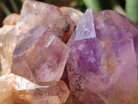Natural Jacaranda Amethyst Quartz Clusters x 2 from Mumbwa, Zambia - Toprock Gemstones and Minerals 