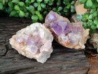 Natural Jacaranda Amethyst Quartz Clusters x 2 from Mumbwa, Zambia - Toprock Gemstones and Minerals 