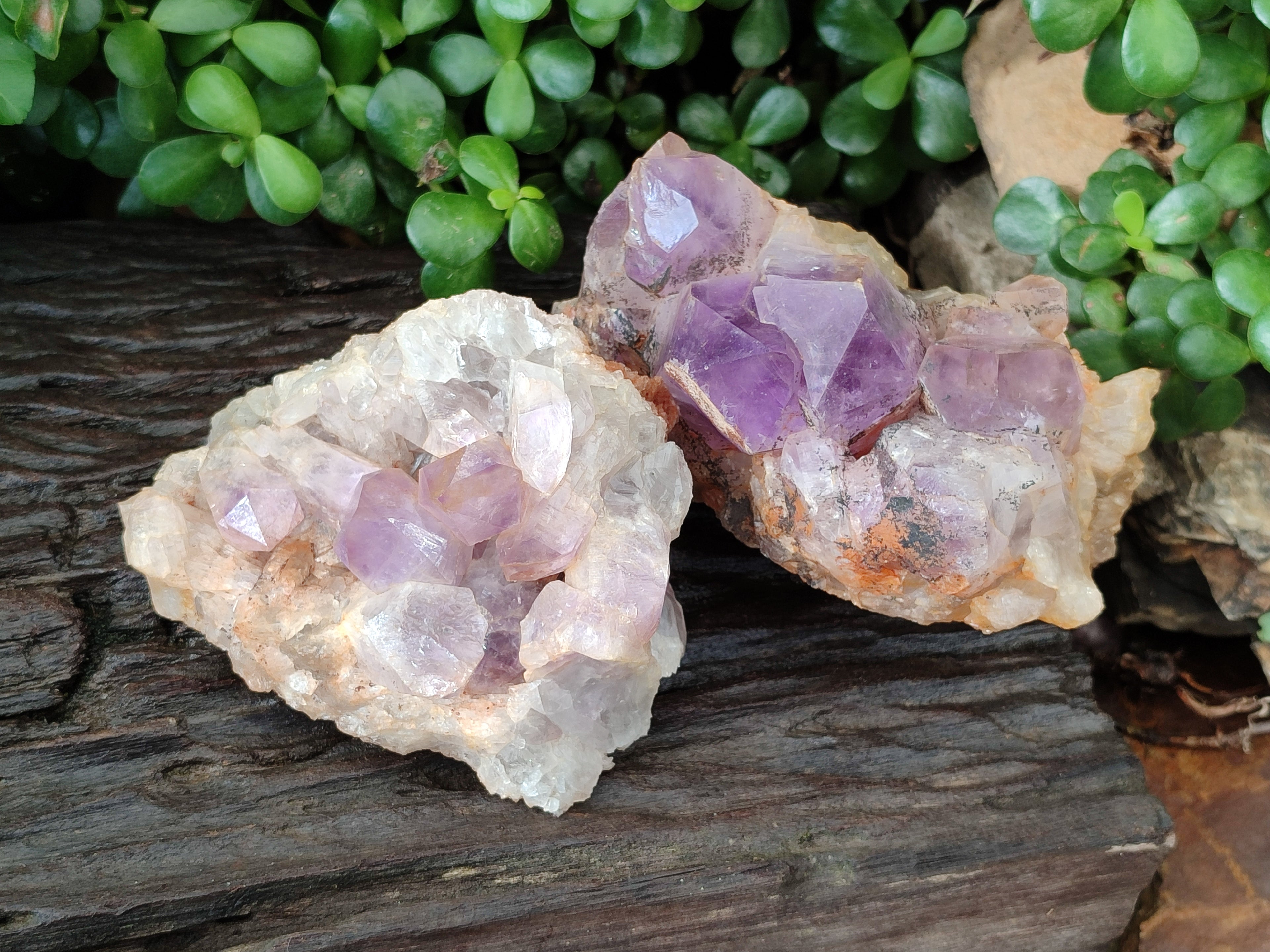 Natural Jacaranda Amethyst Quartz Clusters x 2 from Mumbwa, Zambia - Toprock Gemstones and Minerals 