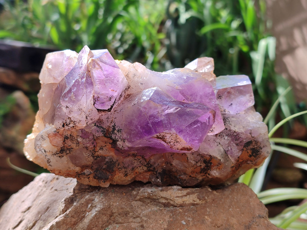 Natural Jacaranda Amethyst Quartz Clusters x 2 from Mumbwa, Zambia - Toprock Gemstones and Minerals 
