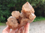 Natural Smokey Phantom Quartz Clusters x 3 From Luena, Congo - Toprock Gemstones and Minerals 