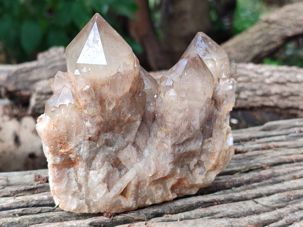 Natural Smokey Phantom Quartz Clusters x 3 From Luena, Congo - Toprock Gemstones and Minerals 