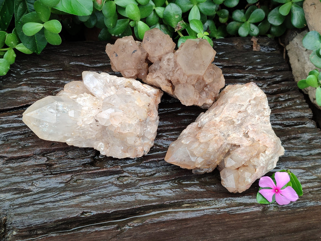 Natural Smokey Phantom Quartz Clusters x 3 From Luena, Congo - Toprock Gemstones and Minerals 