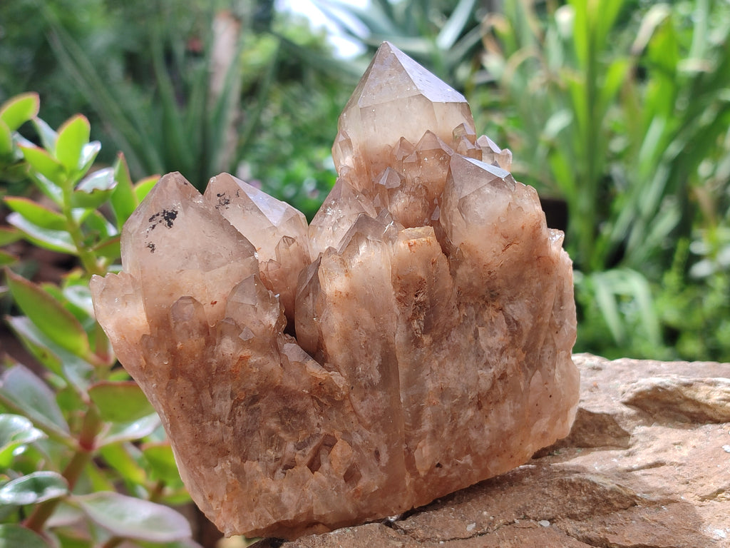 Natural Smokey Phantom Quartz Clusters x 3 From Luena, Congo - Toprock Gemstones and Minerals 