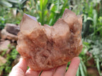 Natural Smokey Phantom Quartz Clusters x 3 From Luena, Congo - Toprock Gemstones and Minerals 