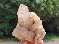 Natural Smokey Phantom Quartz Clusters x 3 From Luena, Congo - Toprock Gemstones and Minerals 