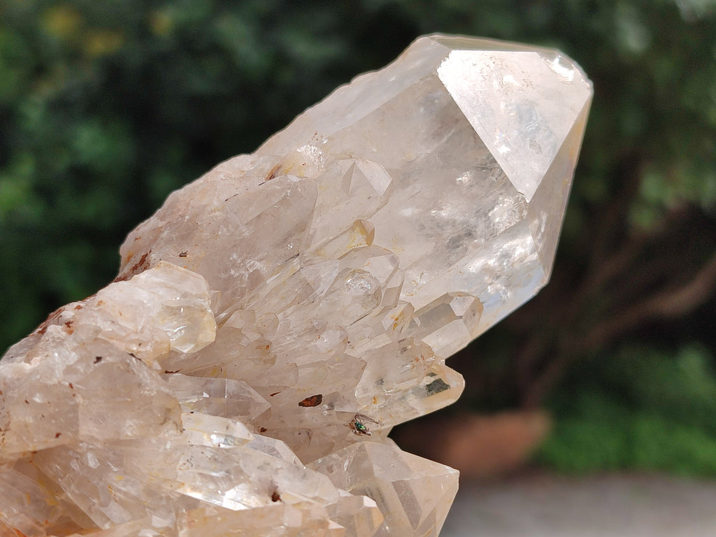 Natural Smokey Phantom Quartz Clusters x 3 From Luena, Congo - Toprock Gemstones and Minerals 
