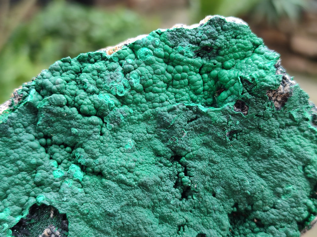 Natural Botryoidal Malachite Specimens x 2 From Tenke Fungurume, Congo - Toprock Gemstones and Minerals 