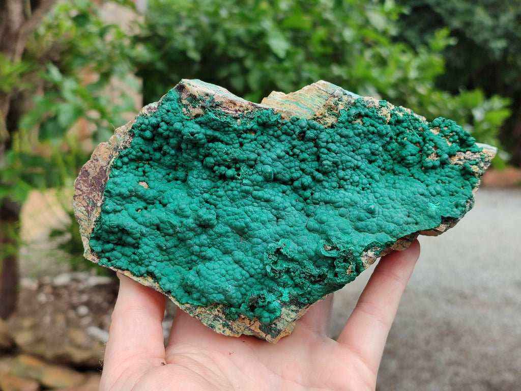 Natural Botryoidal Malachite Specimens x 2 From Tenke Fungurume, Congo - Toprock Gemstones and Minerals 