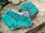 Natural Botryoidal Malachite Specimens x 2 From Tenke Fungurume, Congo - Toprock Gemstones and Minerals 