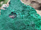 Natural Botryoidal Malachite Specimens x 2 From Tenke Fungurume, Congo - Toprock Gemstones and Minerals 