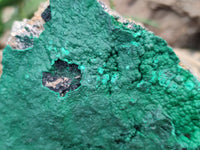 Natural Botryoidal Malachite Specimens x 2 From Tenke Fungurume, Congo - Toprock Gemstones and Minerals 