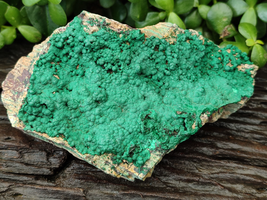 Natural Botryoidal Malachite Specimens x 2 From Tenke Fungurume, Congo - Toprock Gemstones and Minerals 