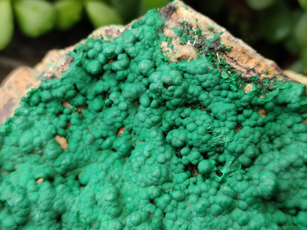 Natural Botryoidal Malachite Specimens x 2 From Tenke Fungurume, Congo - Toprock Gemstones and Minerals 