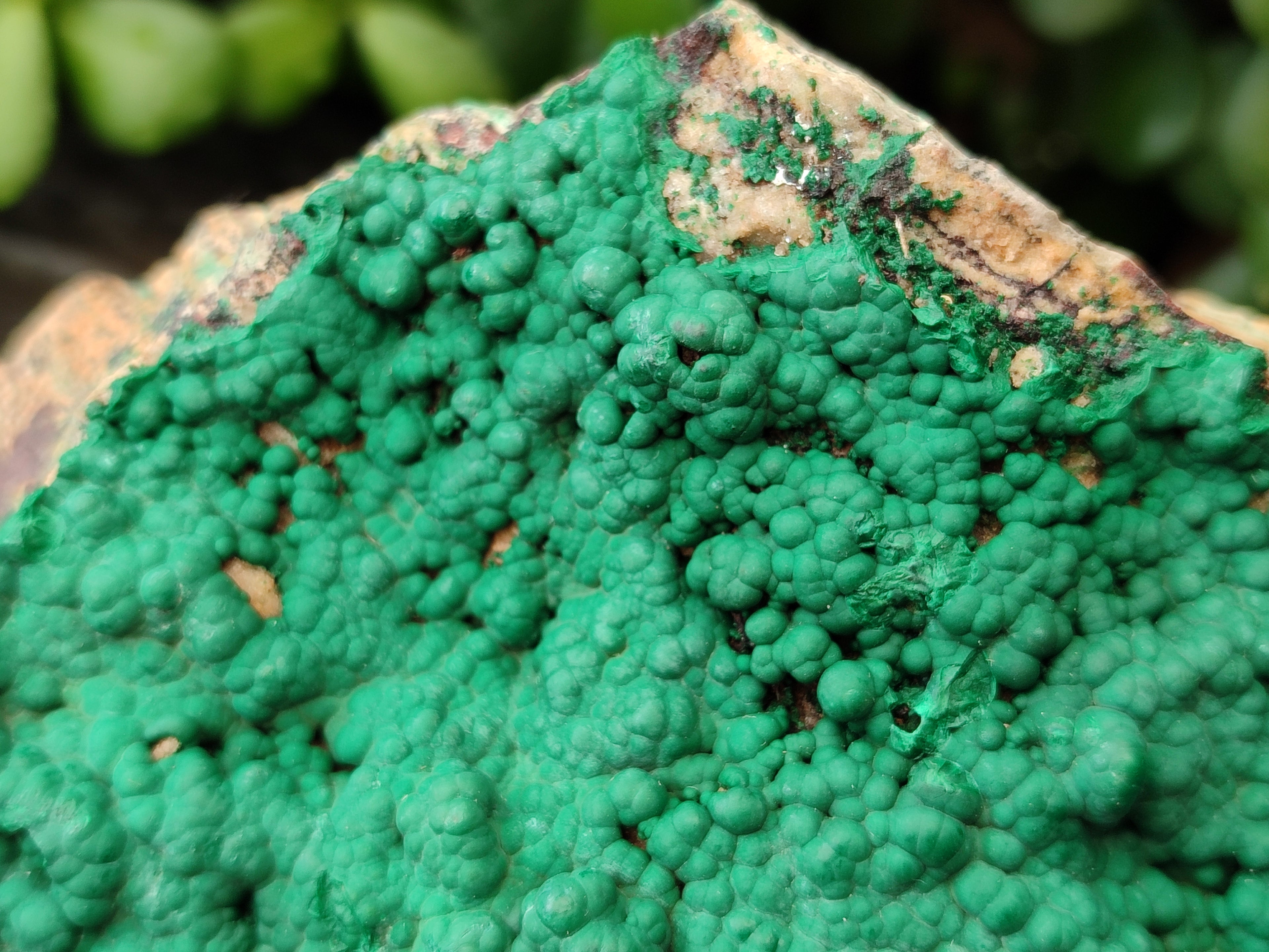 Natural Botryoidal Malachite Specimens x 2 From Tenke Fungurume, Congo - Toprock Gemstones and Minerals 