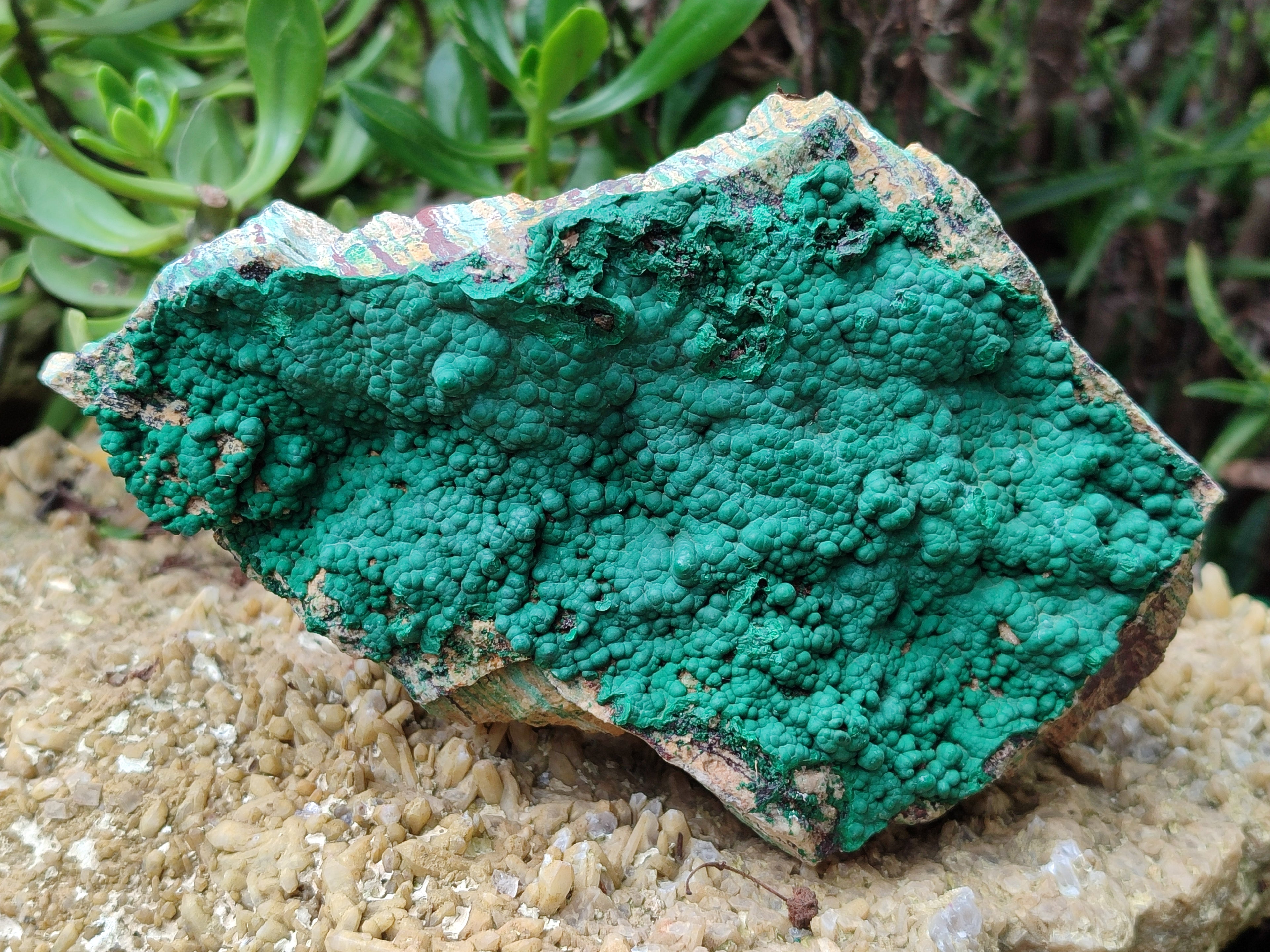Natural Botryoidal Malachite Specimens x 2 From Tenke Fungurume, Congo - Toprock Gemstones and Minerals 