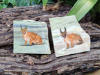 Hand Made Lynx / Caracal Decoupage on Butter Jade Stone Slabs - sold per item - From South Africa - Toprock Gemstones and Minerals 