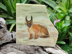 Hand Made Lynx / Caracal Decoupage on Butter Jade Stone Slabs - sold per item - From South Africa - Toprock Gemstones and Minerals 