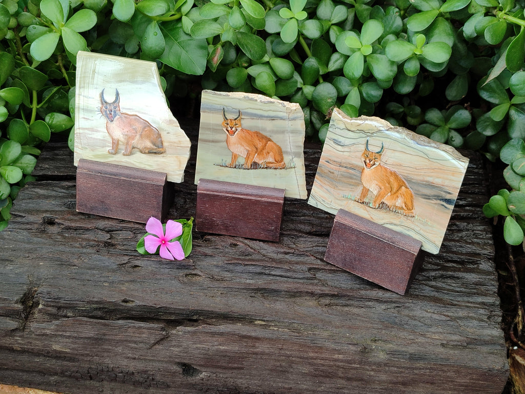 Hand Made Lynx / Caracal Decoupage on Butter Jade Stone Slabs - sold per item - From South Africa - Toprock Gemstones and Minerals 