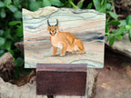 Hand Made Lynx / Caracal Decoupage on Butter Jade Stone Slabs - sold per item - From South Africa - Toprock Gemstones and Minerals 