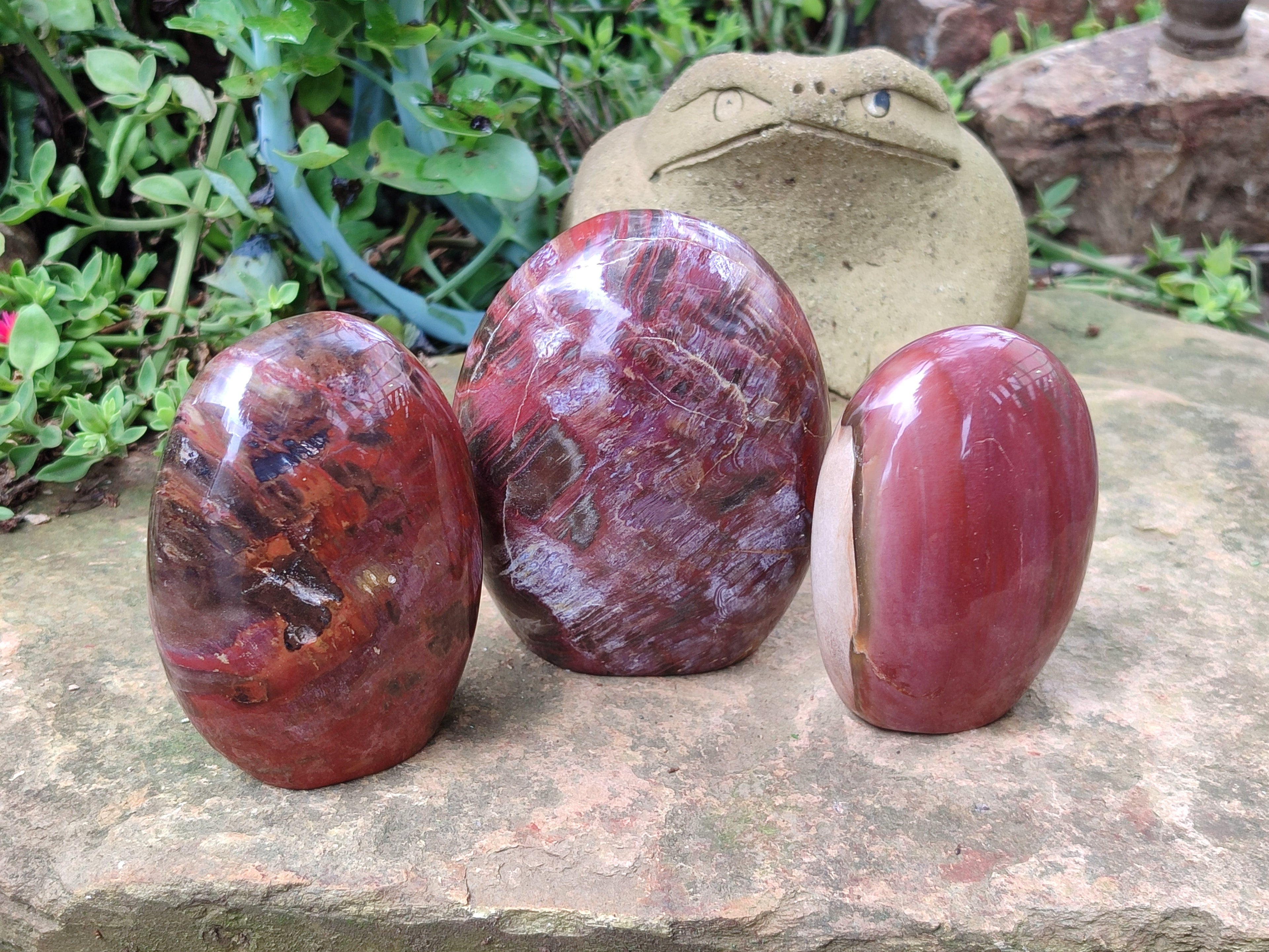 Polished Podocarpus Petrified Wood Standing Free Forms x 3 From Madagascar - Toprock Gemstones and Minerals 
