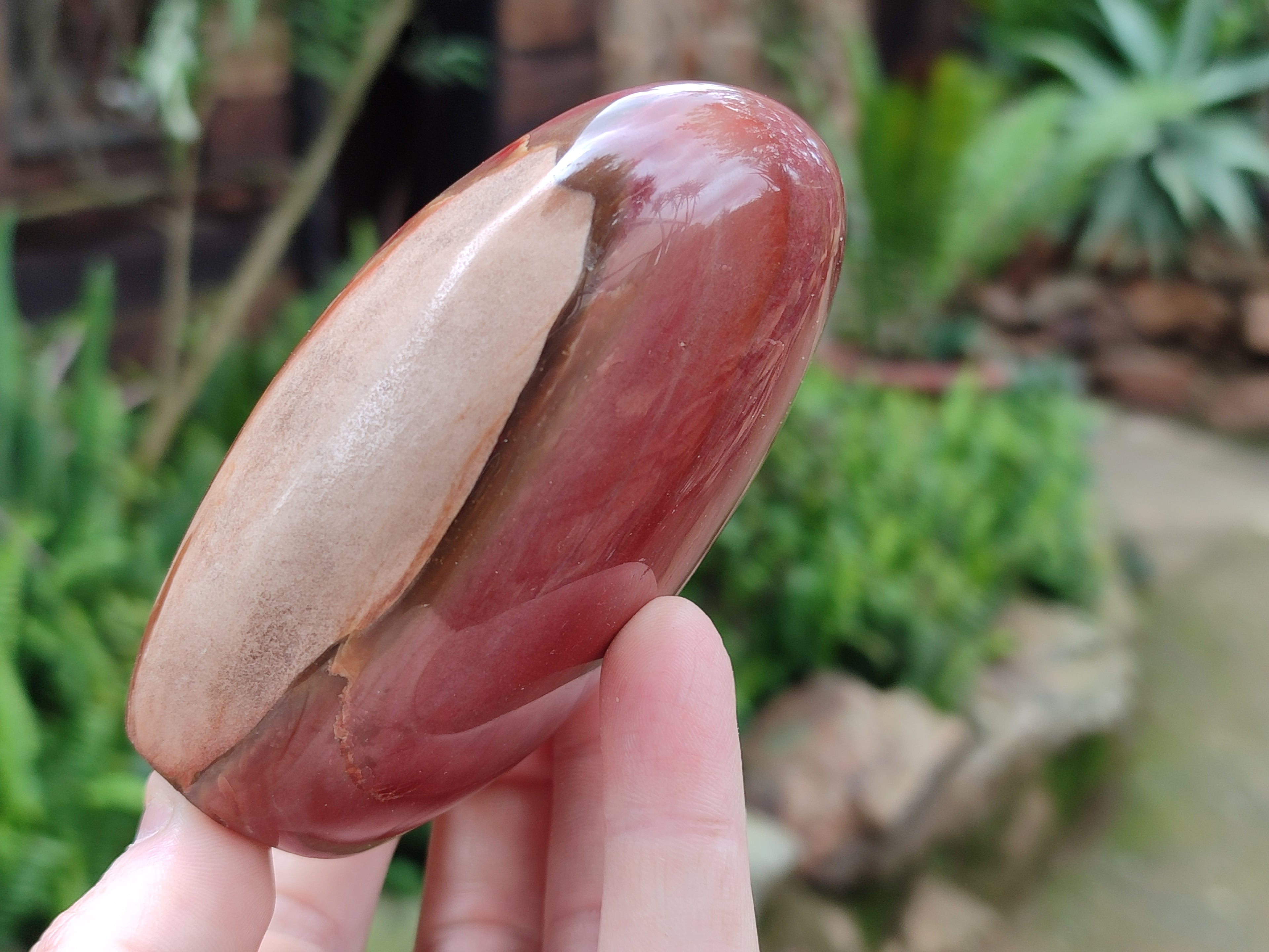 Polished Podocarpus Petrified Wood Standing Free Forms x 3 From Madagascar - Toprock Gemstones and Minerals 