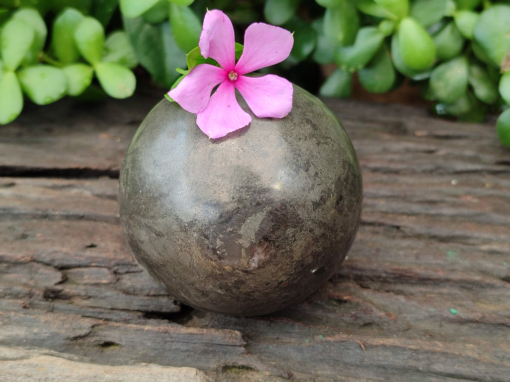 Polished Pharaoh Stone Spheres x 2 From Zimbabwe - Toprock Gemstones and Minerals 