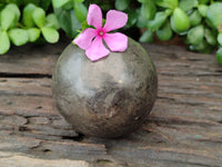 Polished Pharaoh Stone Spheres x 2 From Zimbabwe - Toprock Gemstones and Minerals 