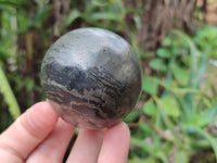 Polished Pharaoh Stone Spheres x 2 From Zimbabwe - Toprock Gemstones and Minerals 