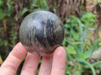 Polished Pharaoh Stone Spheres x 2 From Zimbabwe - Toprock Gemstones and Minerals 