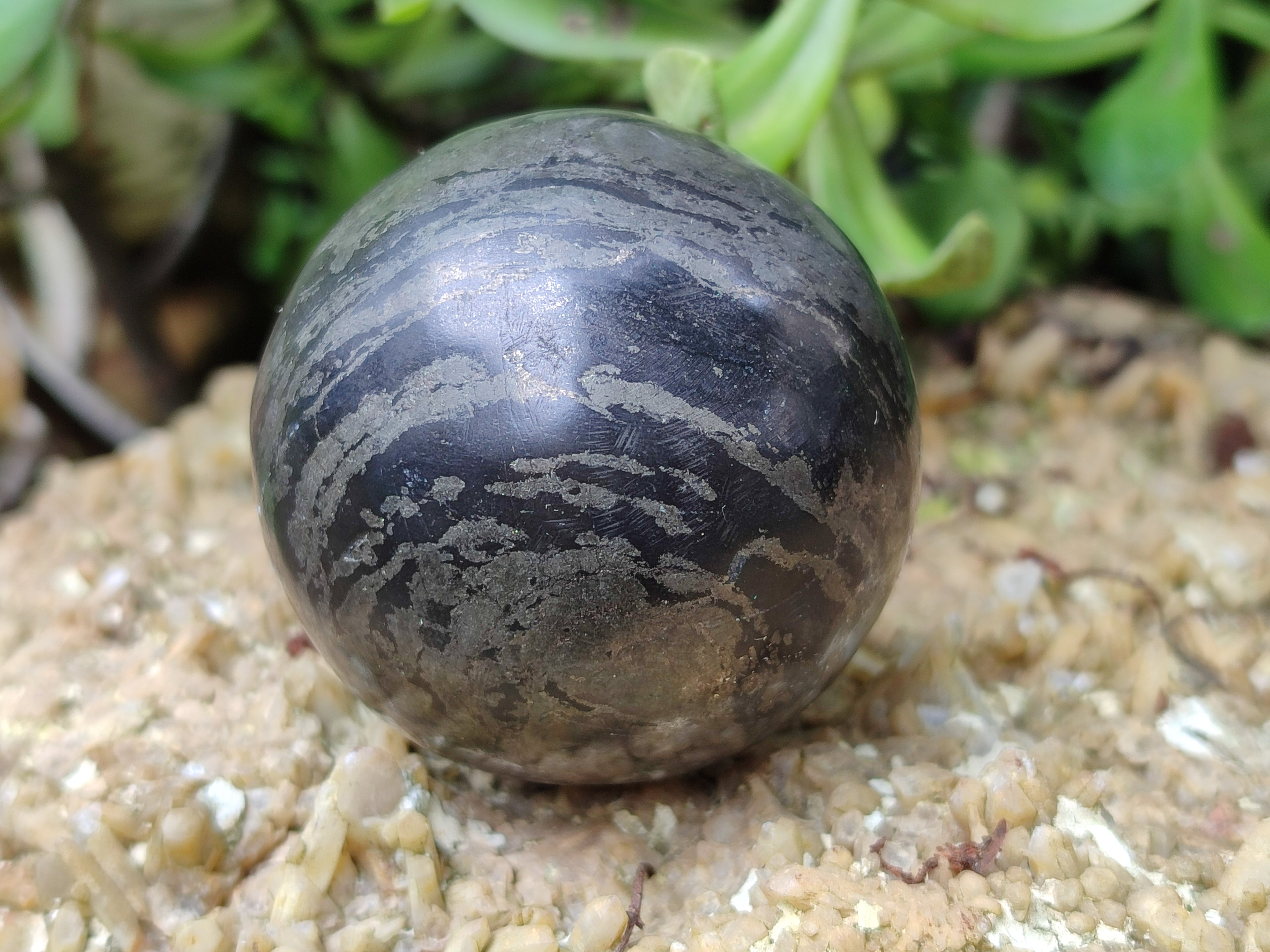 Polished Pharaoh Stone Spheres x 2 From Zimbabwe - Toprock Gemstones and Minerals 