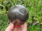 Polished Pharaoh Stone Spheres x 2 From Zimbabwe - Toprock Gemstones and Minerals 